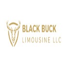 Black Buck Limousine Project by SS Marketing